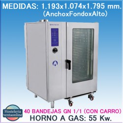 Horno repagas HG-2021/2 Gas