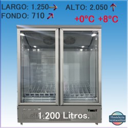 Armario expositor refrigerado 2 Puertas BLG1250-2M GRIS