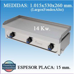 PLANCHA MUNDIGAS P-1000